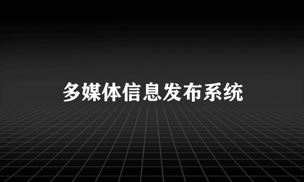 多媒体信息发布系统