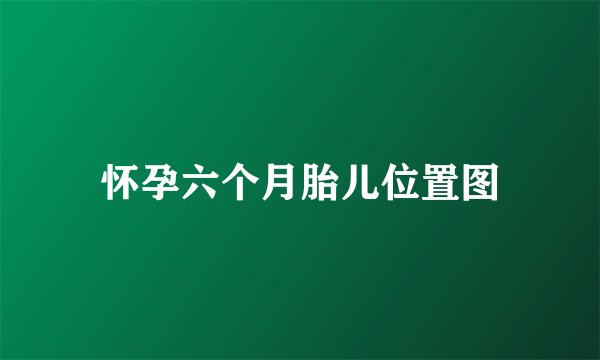 怀孕六个月胎儿位置图