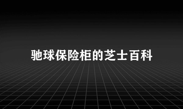 驰球保险柜的芝士百科