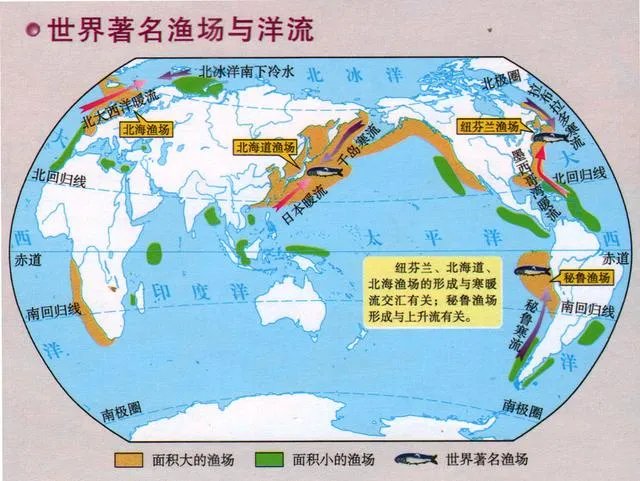 世界洋流分布图及主要渔场？