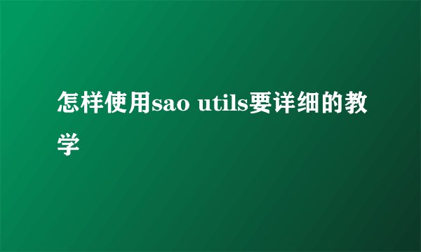怎样使用sao utils要详细的教学