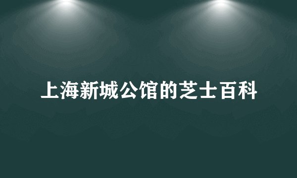 上海新城公馆的芝士百科