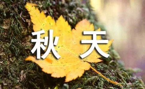 描写赞美秋天的诗句