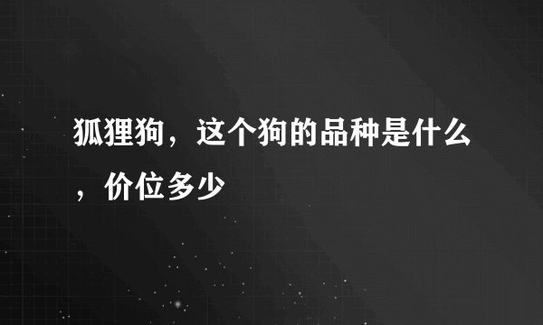 狐狸狗，这个狗的品种是什么，价位多少