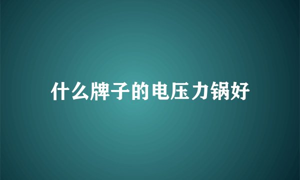 什么牌子的电压力锅好