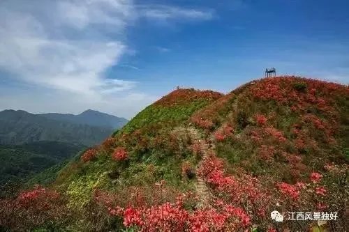 五一去崇义旅游,去玩过的驴友可以说下攻略吗?