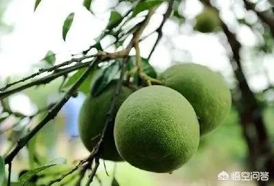 如何看待青岛一医院涉嫌卖假药被处罚692.5元这件事?