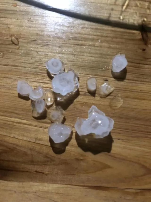 今年你们那边的的天气正常吗?反正湖南感觉少了一个春天?