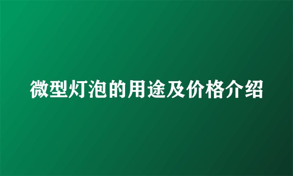 微型灯泡的用途及价格介绍