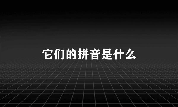 它们的拼音是什么