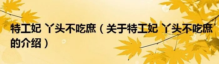 特工妃 丫头不吃庶（关于特工妃 丫头不吃庶的介绍）