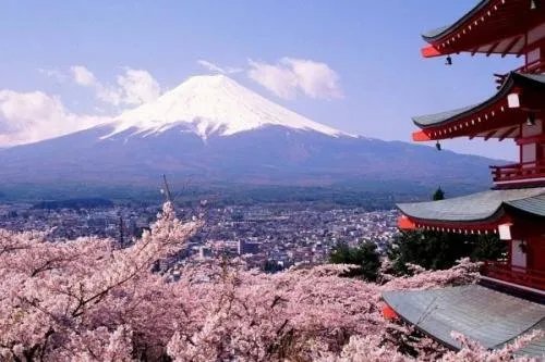 5月赴日旅游仅1700人,日本游客为何变少了?