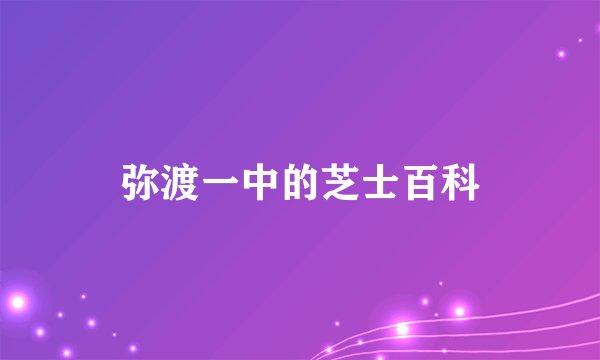 弥渡一中的芝士百科