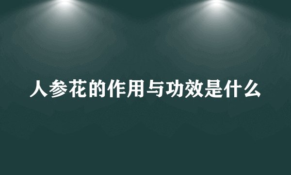 人参花的作用与功效是什么