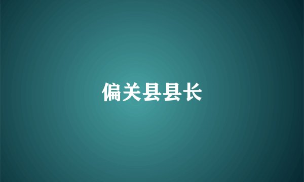 偏关县县长