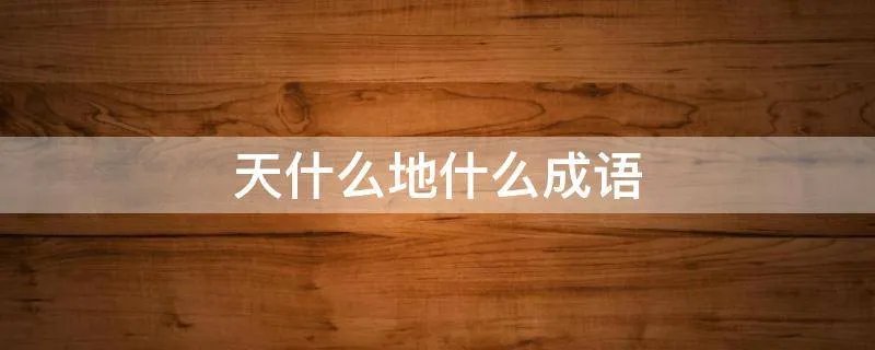 天什么地什么成语