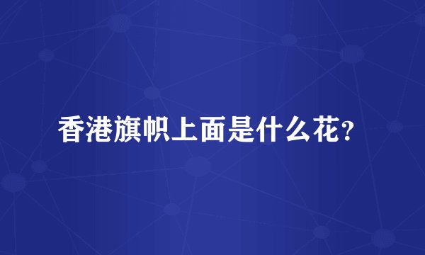 香港旗帜上面是什么花？