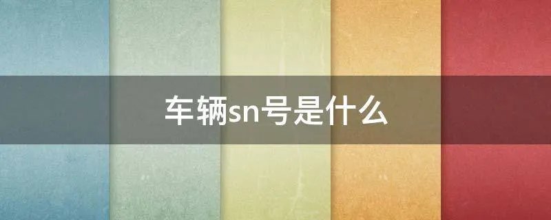 车辆sn号是什么