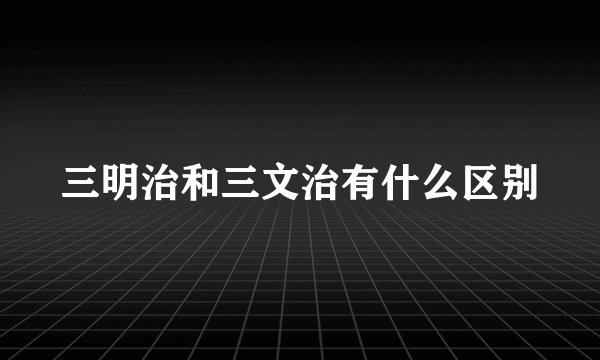 三明治和三文治有什么区别