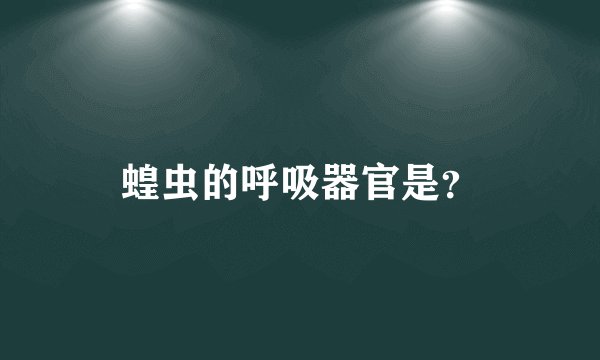 蝗虫的呼吸器官是？