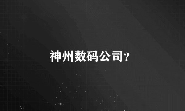 神州数码公司？