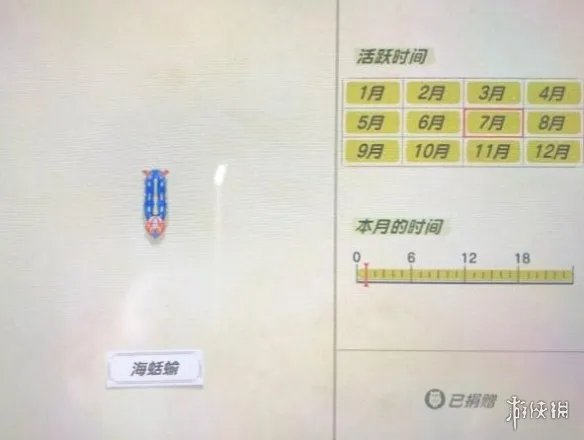 《集合啦动物森友会》海洋生物有哪些?海洋生物价格图鉴