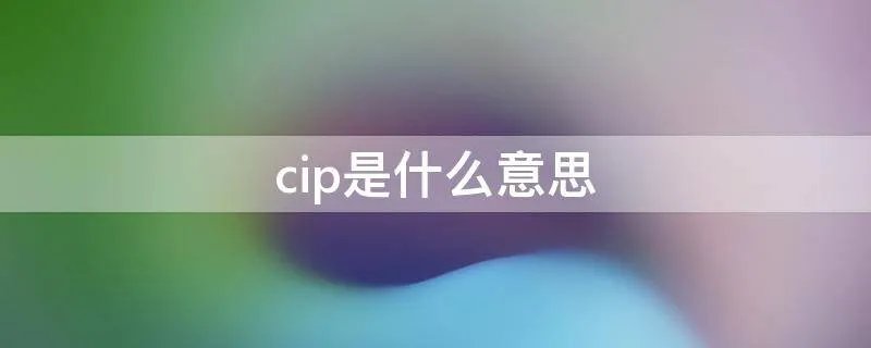 cip是什么意思