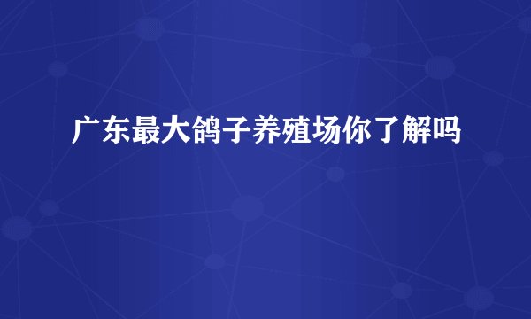 广东最大鸽子养殖场你了解吗