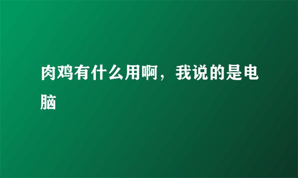 肉鸡有什么用啊，我说的是电脑