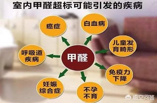 云南一高校宿舍甲醛超标,学生身体不适搬离学校,校方称检测合格,你相信谁?