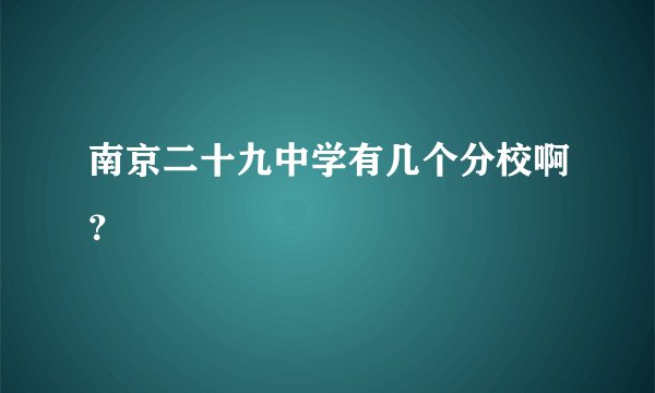 南京二十九中学有几个分校啊？