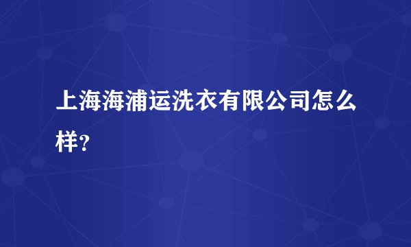 上海海浦运洗衣有限公司怎么样？