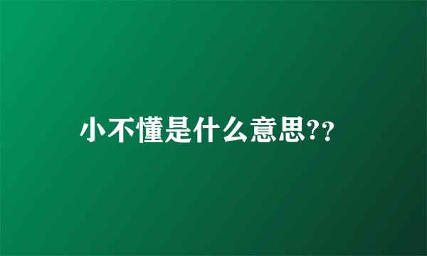 小不懂是什么意思?？