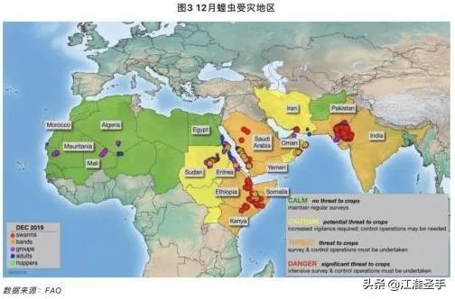 联合国官员说,正在侵袭非洲的蝗虫,会进入了印度,巴基斯坦,你怎么看这些自然现象?