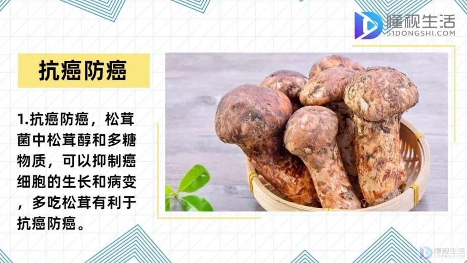 松茸菌的功效与作用及食用方法