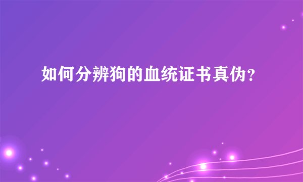 如何分辨狗的血统证书真伪？