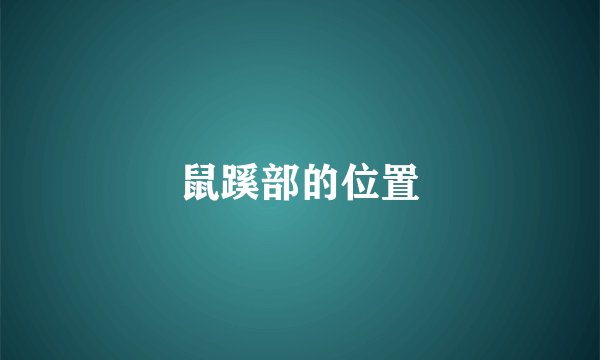 鼠蹊部的位置