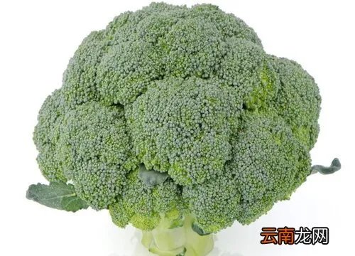 甘蓝类蔬菜有哪些种类,甘蓝菜图片
