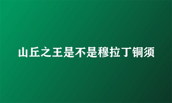 山丘之王是不是穆拉丁铜须