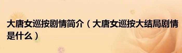大唐女巡按剧情简介（大唐女巡按大结局剧情是什么）