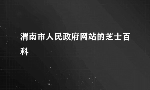 渭南市人民政府网站的芝士百科