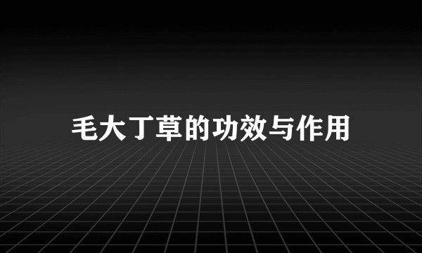 毛大丁草的功效与作用