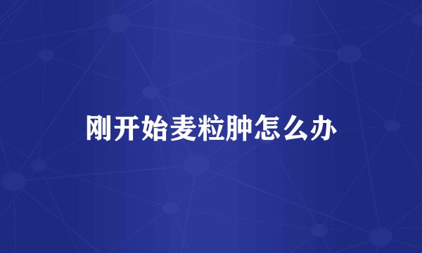 刚开始麦粒肿怎么办