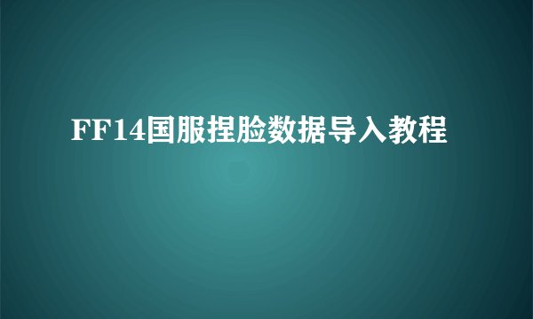 FF14国服捏脸数据导入教程