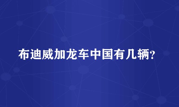 布迪威加龙车中国有几辆？
