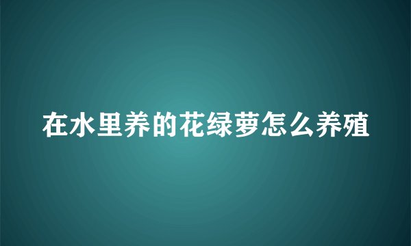 在水里养的花绿萝怎么养殖