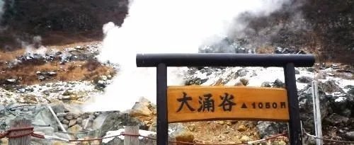 箱根2日游自由行攻略