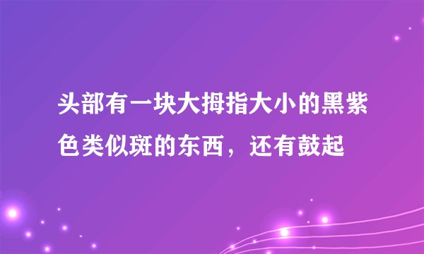 头部有一块大拇指大小的黑紫色类似斑的东西，还有鼓起