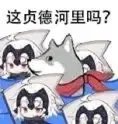 这合理吗表情包大全