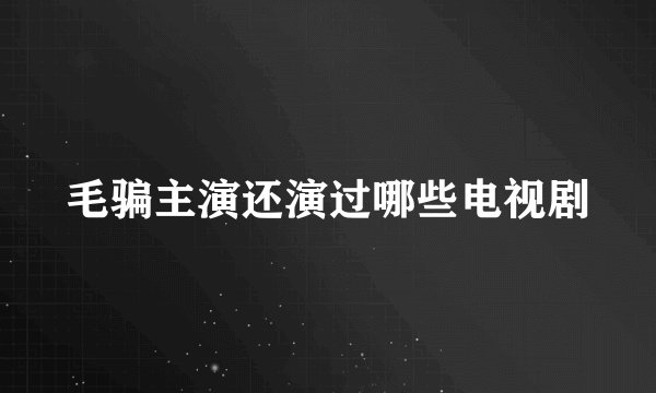 毛骗主演还演过哪些电视剧
